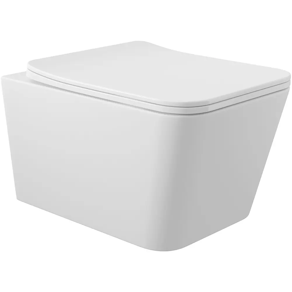 Фото 9 Инсталляция AM.PM I012711.0101 ErgoFit с клавишей слива ErgoFit L пластик глянцевый белый унитаз 52x37 Soft-Close матовый белый квадрат