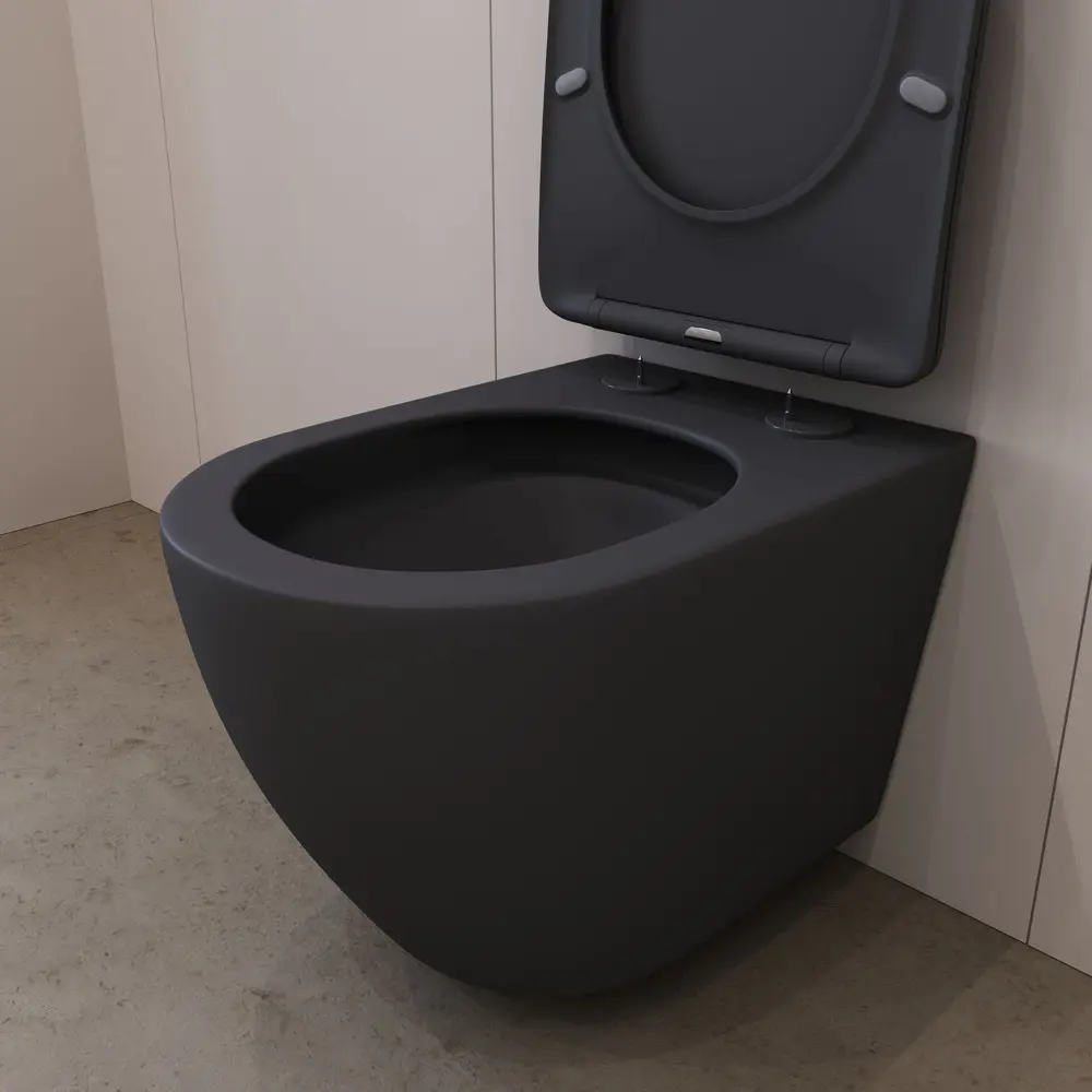 Фото 14 Инсталляция AM.PM I012711.0301 ErgoFit с клавишей слива ErgoFit M пластик глянцевый белый унитаз Long 52x36.5 Vortex матовый черный овал
