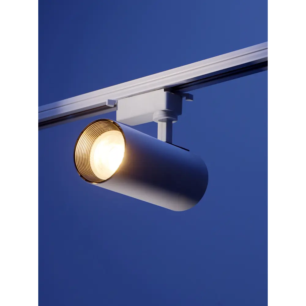 Фото 5 Трековый светильник спот Luazon Lighting 7633404 TSL-013 30 W 2100 Lm 2800K белый