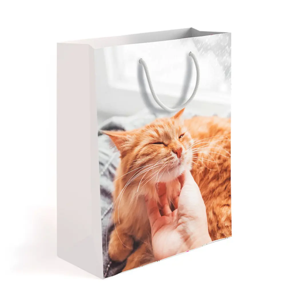 Фото Пакет подарочный Симфония Домашний уют 32x26x12 см цвет белый Фото Пакет подарочный Симфония Домашний уют 32x26x12 см цвет белый