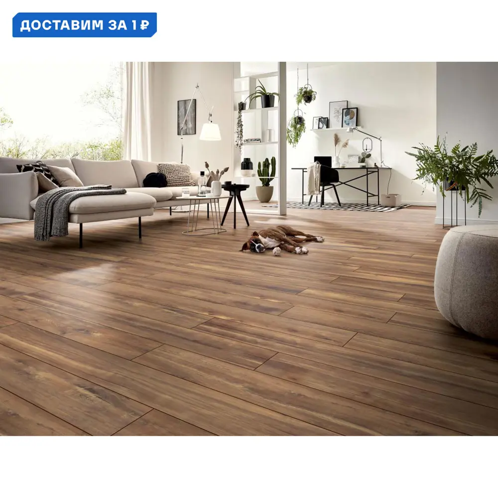 Фото Ламинат Kronotex Дуб Харизма D80102 33 класс толщина 10 мм с фаской 1.30 м², цена за упаковку