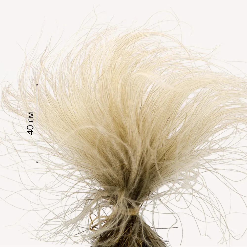 Фото Букет из сухоцветов Donnaflor стифа 40 см цвет натуральный