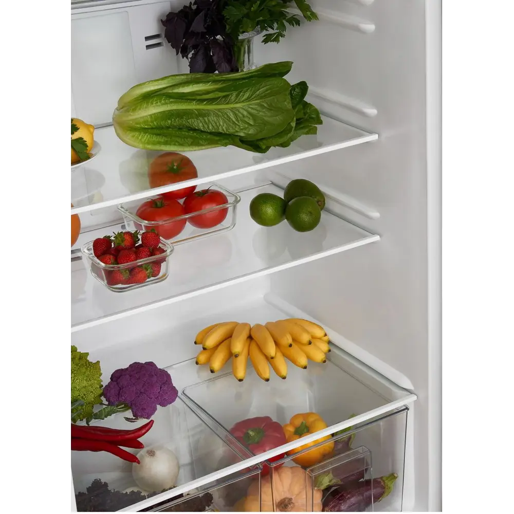 Фото 5 Отдельностоящий холодильник Ascoli ADFRW510W 75x179.2 см цвет белый Фото 5 Отдельностоящий холодильник Ascoli ADFRW510W 75x179.2 см цвет белый