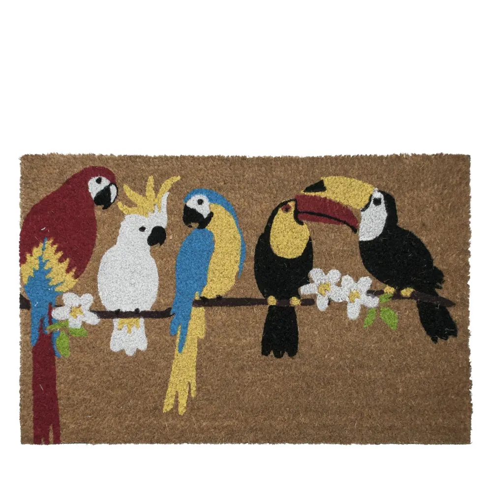 Фото Коврик придверный Borghouse Kakadu 40x60 см