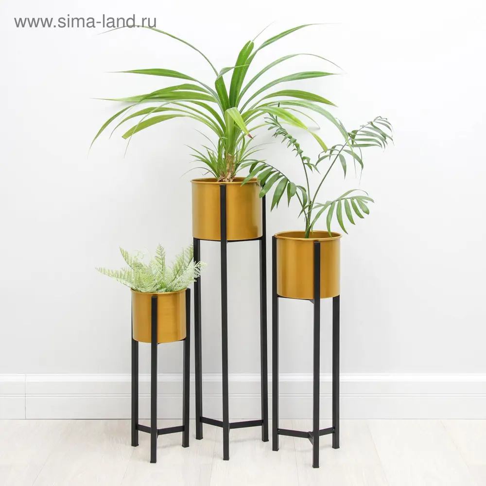 Фото 2 Набор кашпо Сима-Ленд 4726895 Илюзион d 13.9 см 16.3x18 см 4 л Фото 2 Набор кашпо Сима-Ленд 4726895 Илюзион d 13.9 см 16.3x18 см 4 л