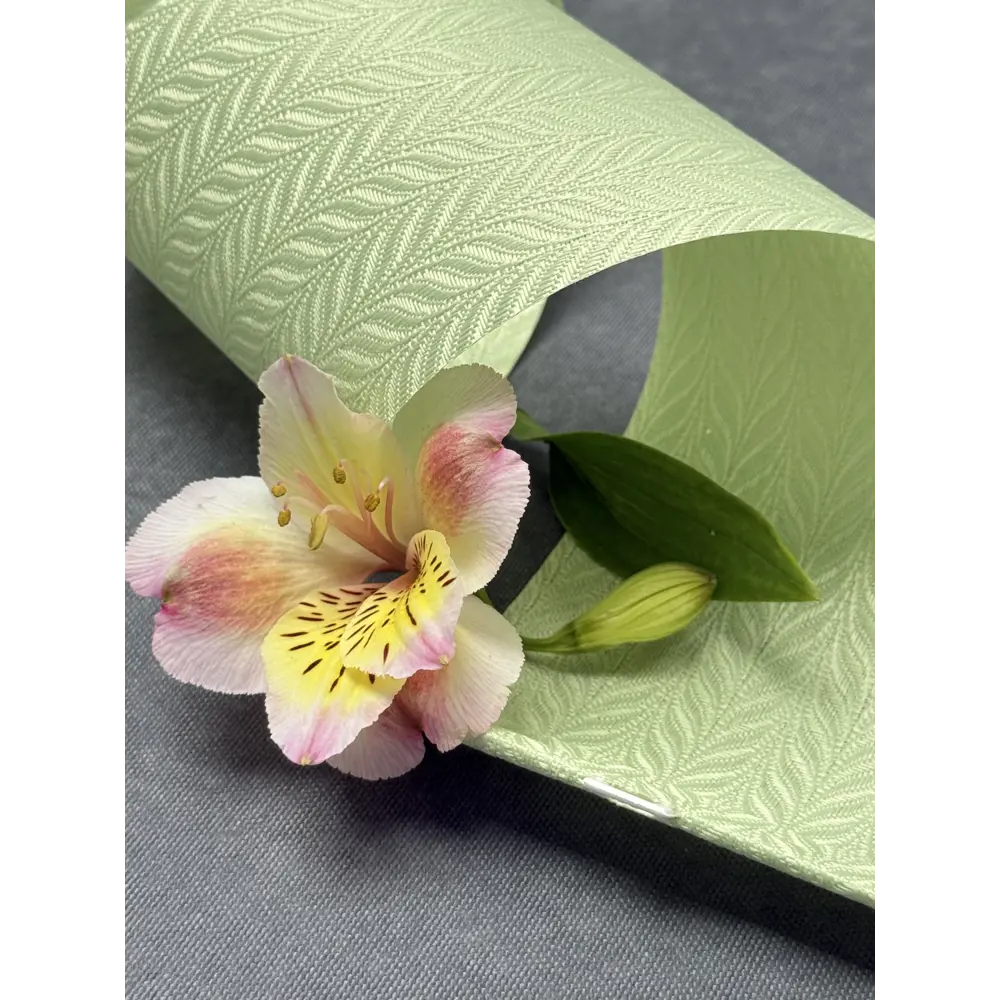 Фото 6 Ламели для вертикальных жалюзи Бинар зеленый Акация 140 см x 10 шт Фото 6 Ламели для вертикальных жалюзи Бинар зеленый Акация 140 см x 10 шт