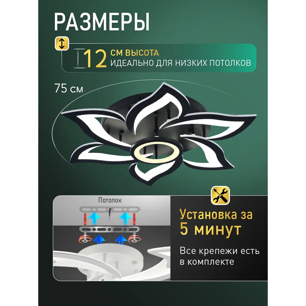 Фото 5 Люстра потолочная светодиодная NATALI KOVALTSEVA HIGH-TECH LED LAMPS 82020 BLACK OLIMP 23 м² изменение оттенков белого цвет черный Фото 5 Люстра потолочная светодиодная NATALI KOVALTSEVA HIGH-TECH LED LAMPS 82020 BLACK OLIMP 23 м² изменение оттенков белого цвет черный