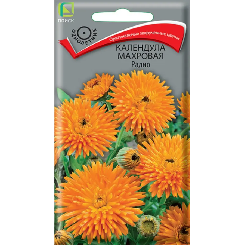 Фото Семена цветов календула махровая Радио Фото Семена цветов календула махровая Радио