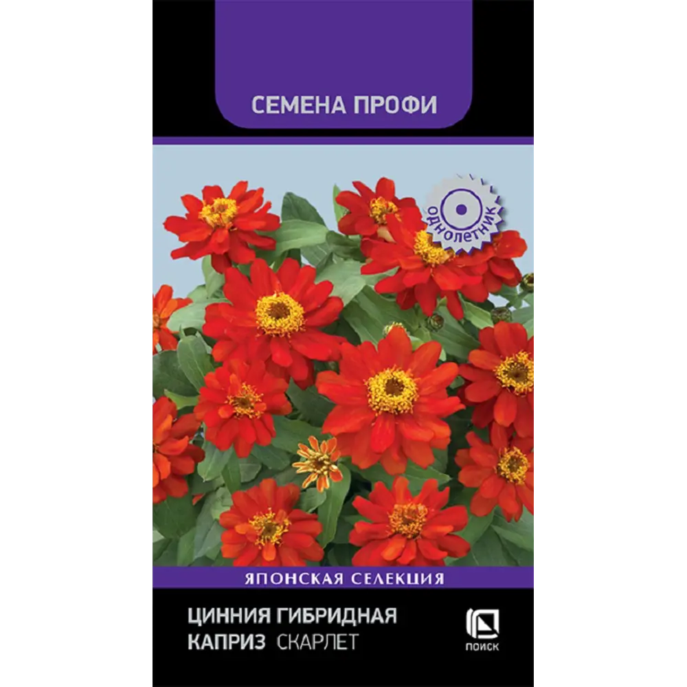 Фото Семена цветов Профи цинния гибридная Каприз Скарлет 7 шт Фото Семена цветов Профи цинния гибридная Каприз Скарлет 7 шт