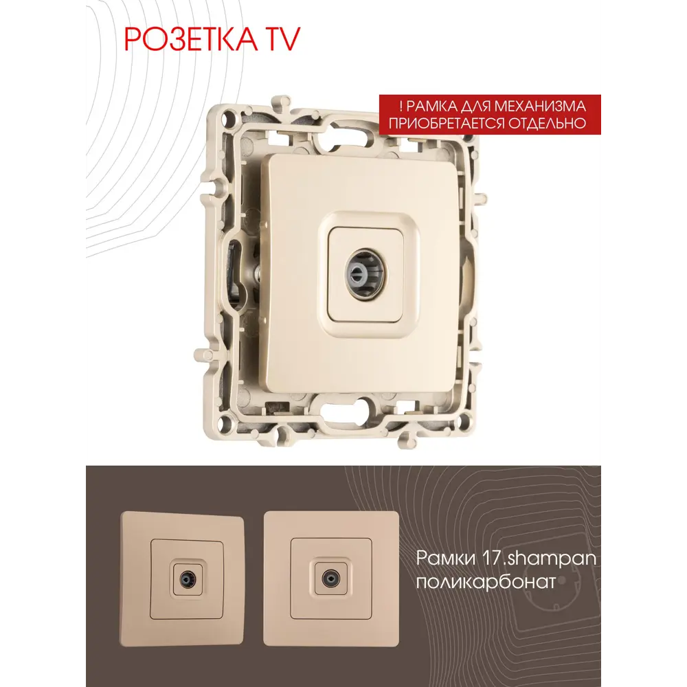 Фото ТВ-розетка встраиваемая Arte milano 217.43-1.shampan цвет шампань