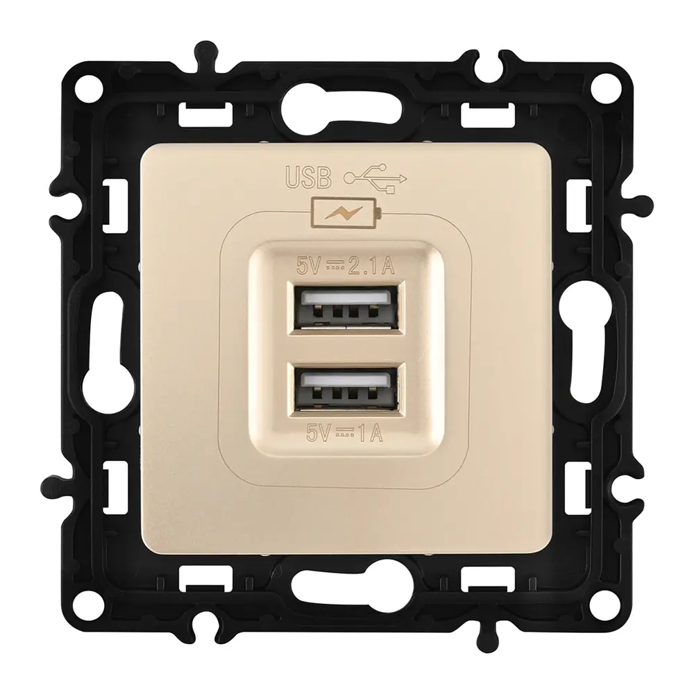 Фото 5 Розетка USB встраиваемая Arte milano 217.46-1.shampan цвет шампань Фото 5 Розетка USB встраиваемая Arte milano 217.46-1.shampan цвет шампань