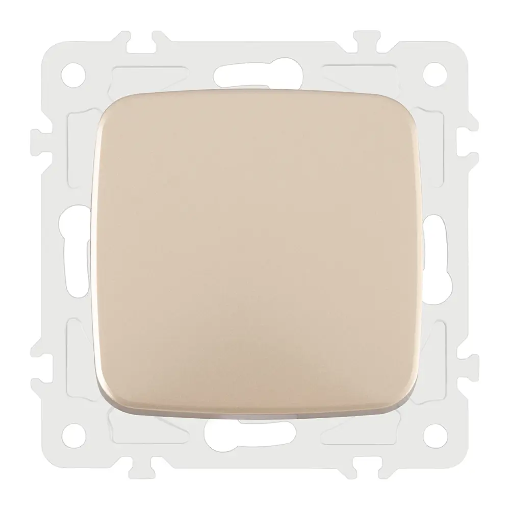 Фото 5 Выключатель встраиваемый Arte milano 205.30-1.shampan 1 клавиша цвет шампань Фото 5 Выключатель встраиваемый Arte milano 205.30-1.shampan 1 клавиша цвет шампань