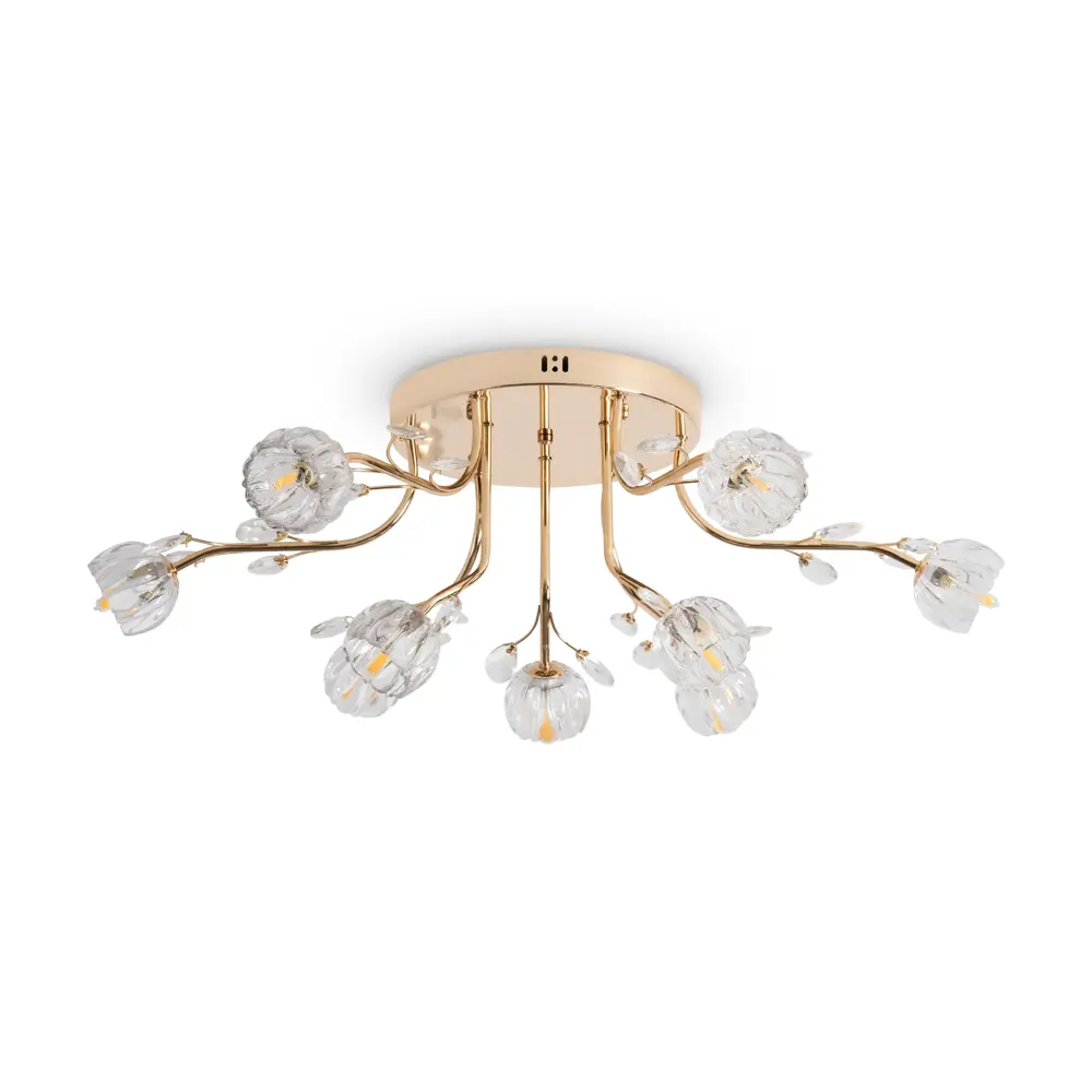 Фото 2 Люстра потолочная Fioress 9 ламп 15 м² цвет золотистый/прозрачный Фото 2 Люстра потолочная Fioress 9 ламп 15 м² цвет золотистый/прозрачный