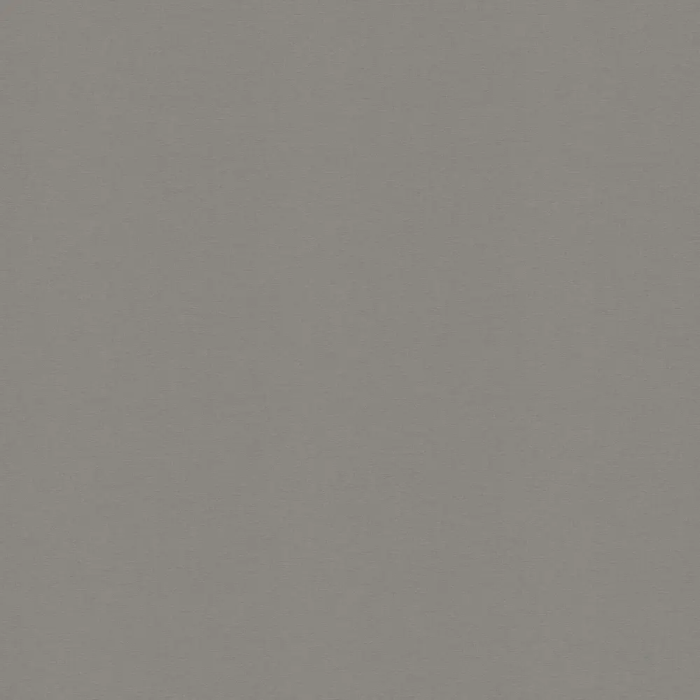 Фото 3 Обои флизелиновые Rasch Allegretto 0.53 м цвет серый;темно-серый 448627_92587274 Фото 3 Обои флизелиновые Rasch Allegretto 0.53 м цвет серый;темно-серый 448627_92587274
