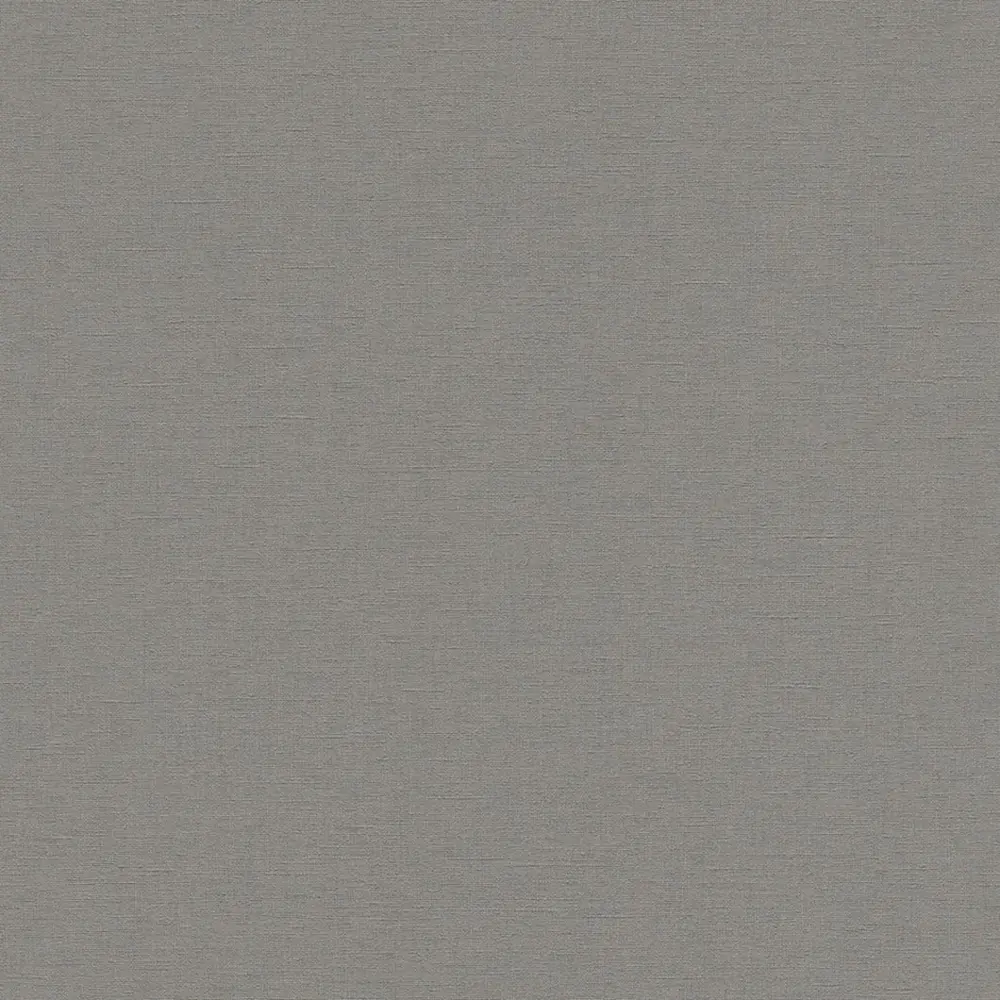 Фото 2 Обои флизелиновые Rasch Allegretto 0.53 м цвет серый;темно-серый 448627_92587274 Фото 2 Обои флизелиновые Rasch Allegretto 0.53 м цвет серый;темно-серый 448627_92587274