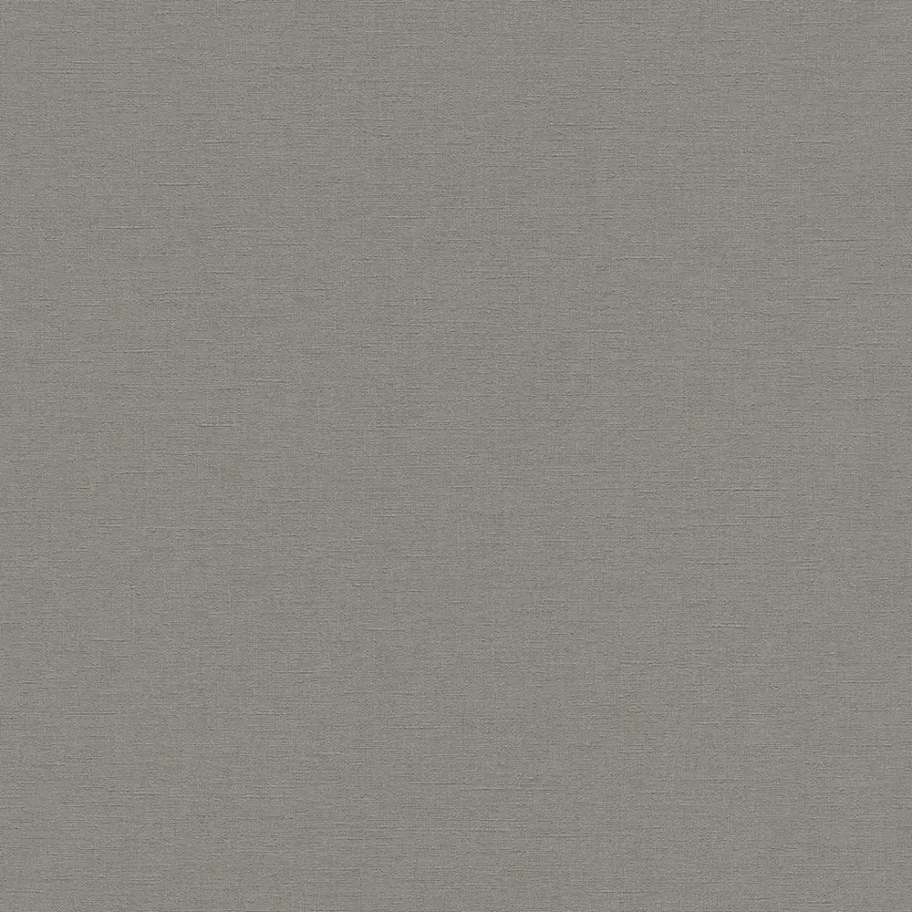 Фото Обои флизелиновые Rasch Allegretto 0.53 м цвет серый;темно-серый 448627_92587274 Фото Обои флизелиновые Rasch Allegretto 0.53 м цвет серый;темно-серый 448627_92587274