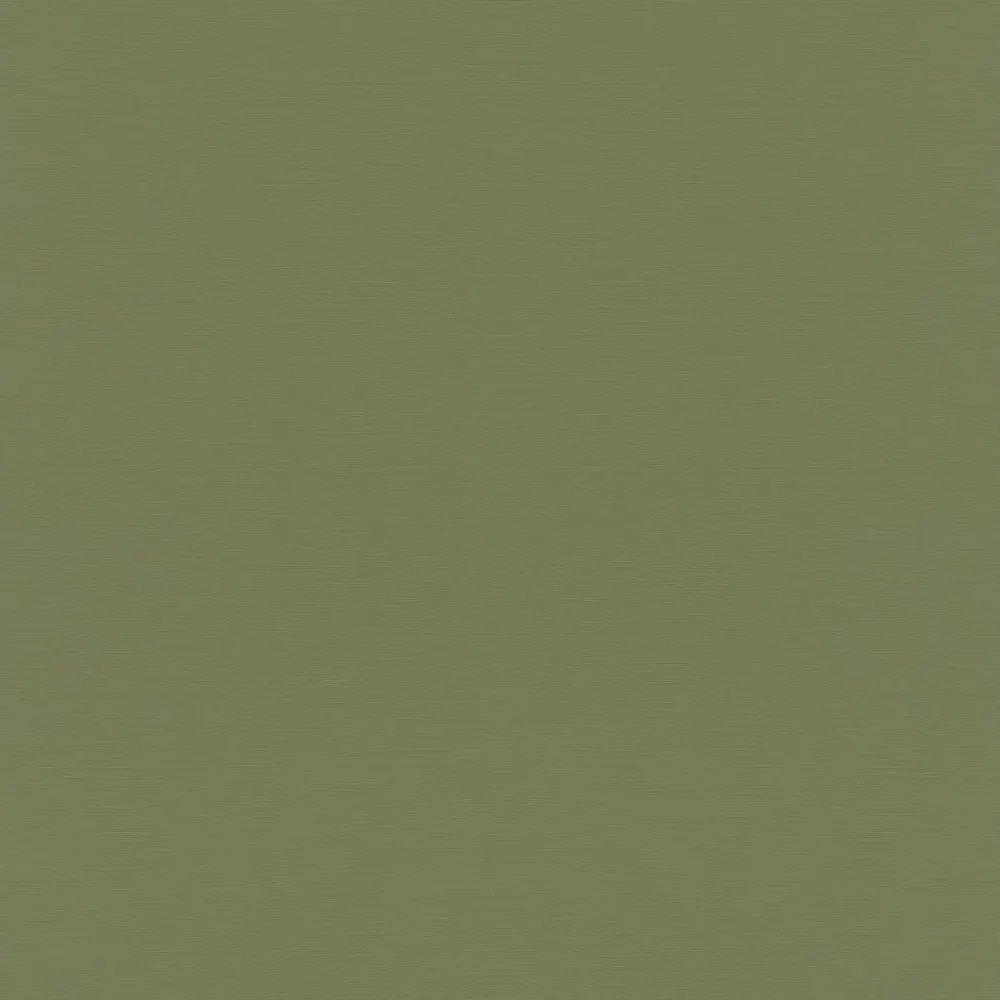 Фото 2 Обои флизелиновые Rasch Allegretto 0.53 м цвет зеленый;темно-зеленый 687538_92587274 Фото 2 Обои флизелиновые Rasch Allegretto 0.53 м цвет зеленый;темно-зеленый 687538_92587274