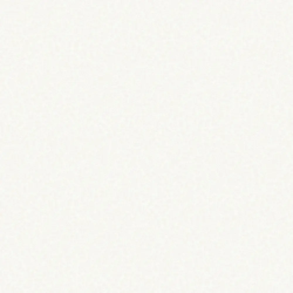 Фото 3 Обои флизелиновые Rasch Bright Whisper W189101_92587274 1.06 м цвет белый, серый, серебристый