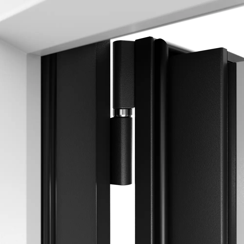 Фото 8 Дверь входная металлическая в частный дом со стеклопакетом