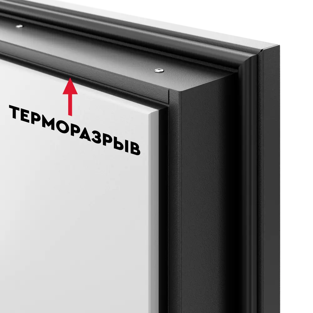 Фото 9 Дверь входная металлическая в частный дом со стеклопакетом