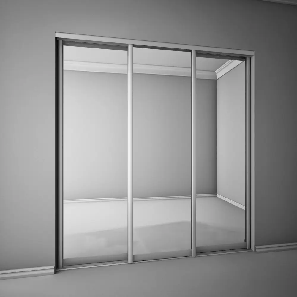 Фото 5 Дверь-купе 255.5x90.4 см зеркало цвет серебристый Фото 5 Дверь-купе 255.5x90.4 см зеркало цвет серебристый