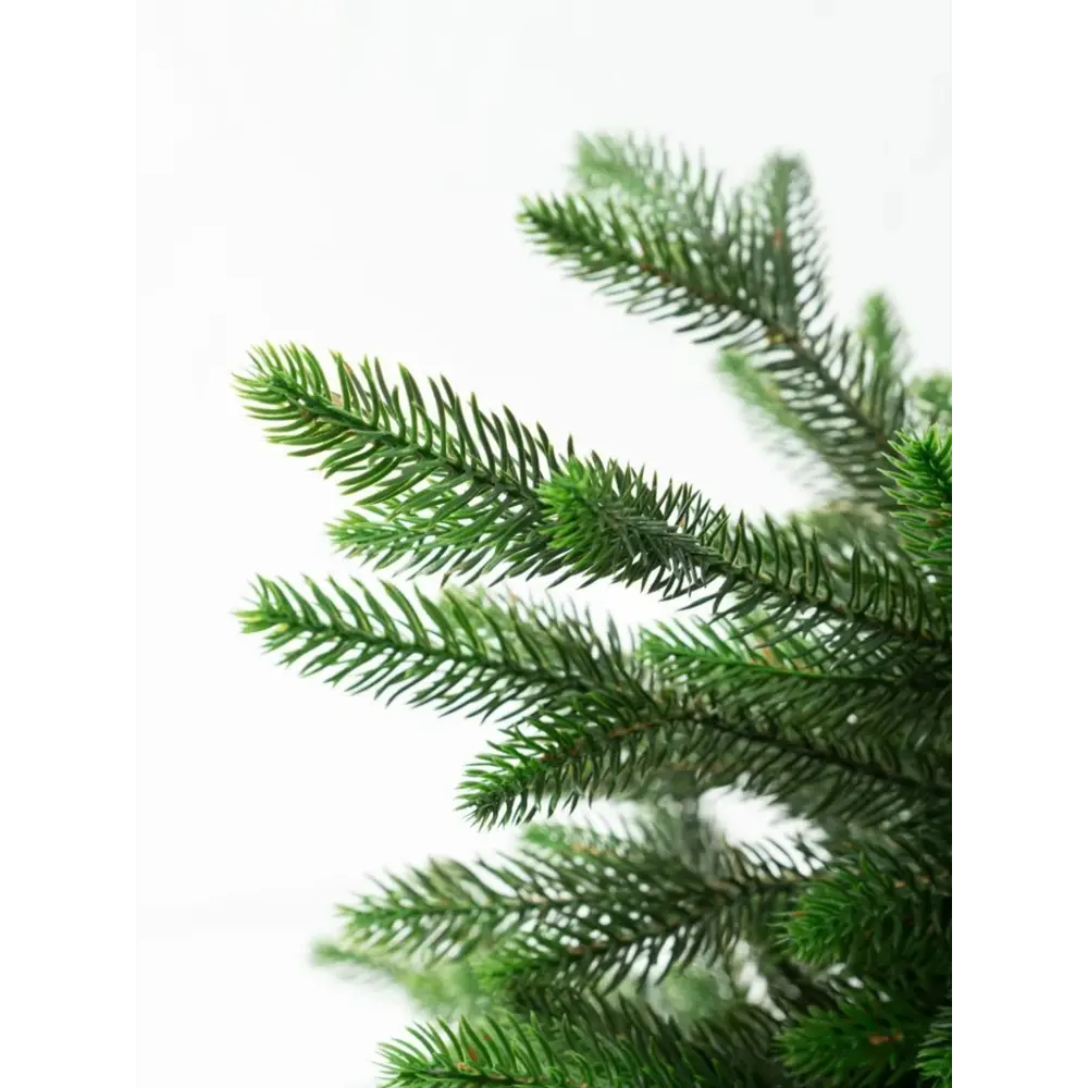 Фото 8 Ель новогодняя искусственная National tree company ЛС-60 Лесная 60 см Фото 8 Ель новогодняя искусственная National tree company ЛС-60 Лесная 60 см