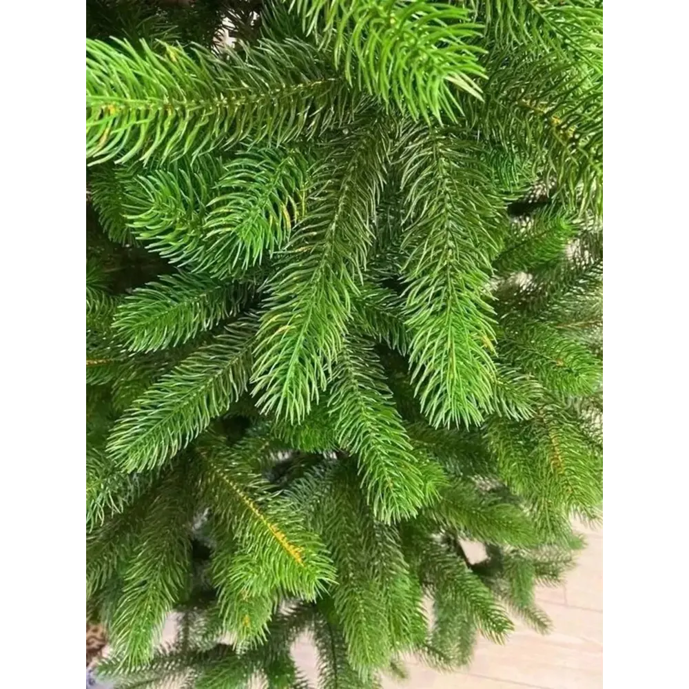 Фото 17 Ель новогодняя искусственная National tree company СК-190 Сказка 190 см Фото 17 Ель новогодняя искусственная National tree company СК-190 Сказка 190 см