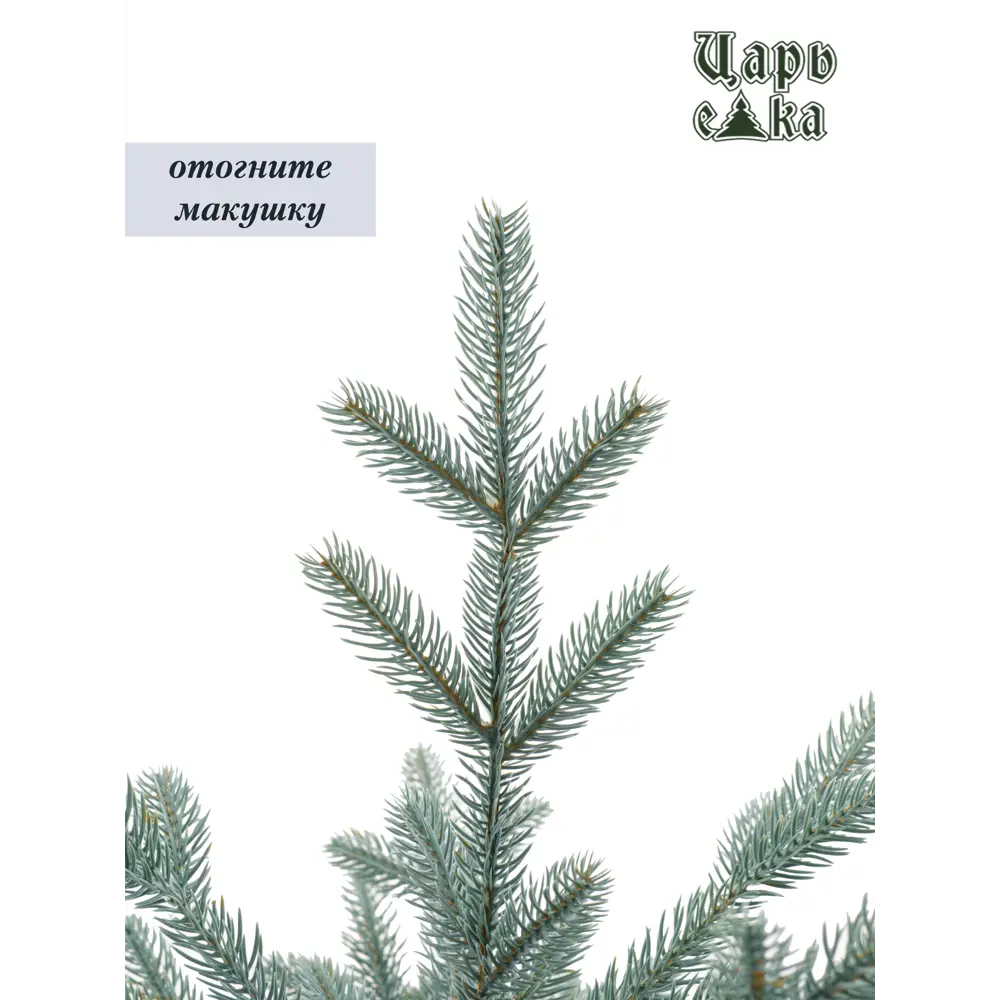 Фото 6 Ель новогодняя искусственная Царь елка РДП/ГЛ-210 Раскидистая 225 см Фото 6 Ель новогодняя искусственная Царь елка РДП/ГЛ-210 Раскидистая 225 см