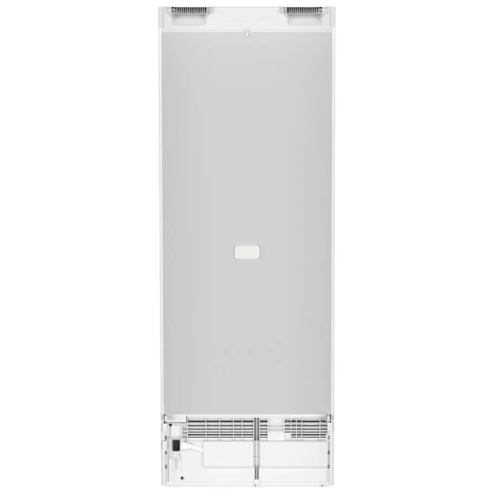 Фото 9 Отдельностоящий холодильник Liebherr Rd 5000-22 001 59.7x165.5 см цвет белый