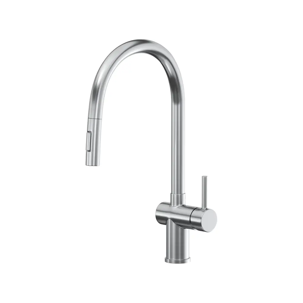 Фото Смеситель Reflexion Lago RX9904SS для кухни с вытяжным изливом полированная сталь Фото Смеситель Reflexion Lago RX9904SS для кухни с вытяжным изливом полированная сталь