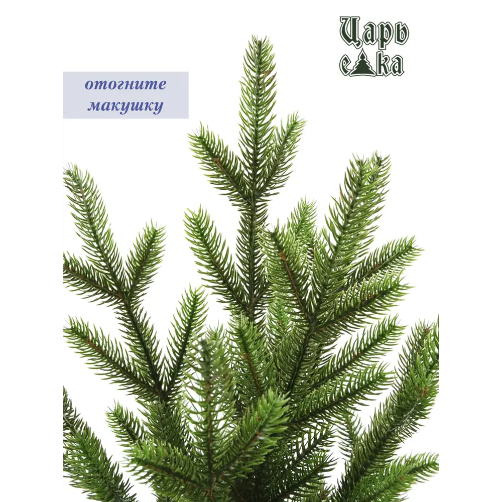 Фото 7 Ель новогодняя искусственная Царь елка Сапфир 215 см Фото 7 Ель новогодняя искусственная Царь елка Сапфир 215 см