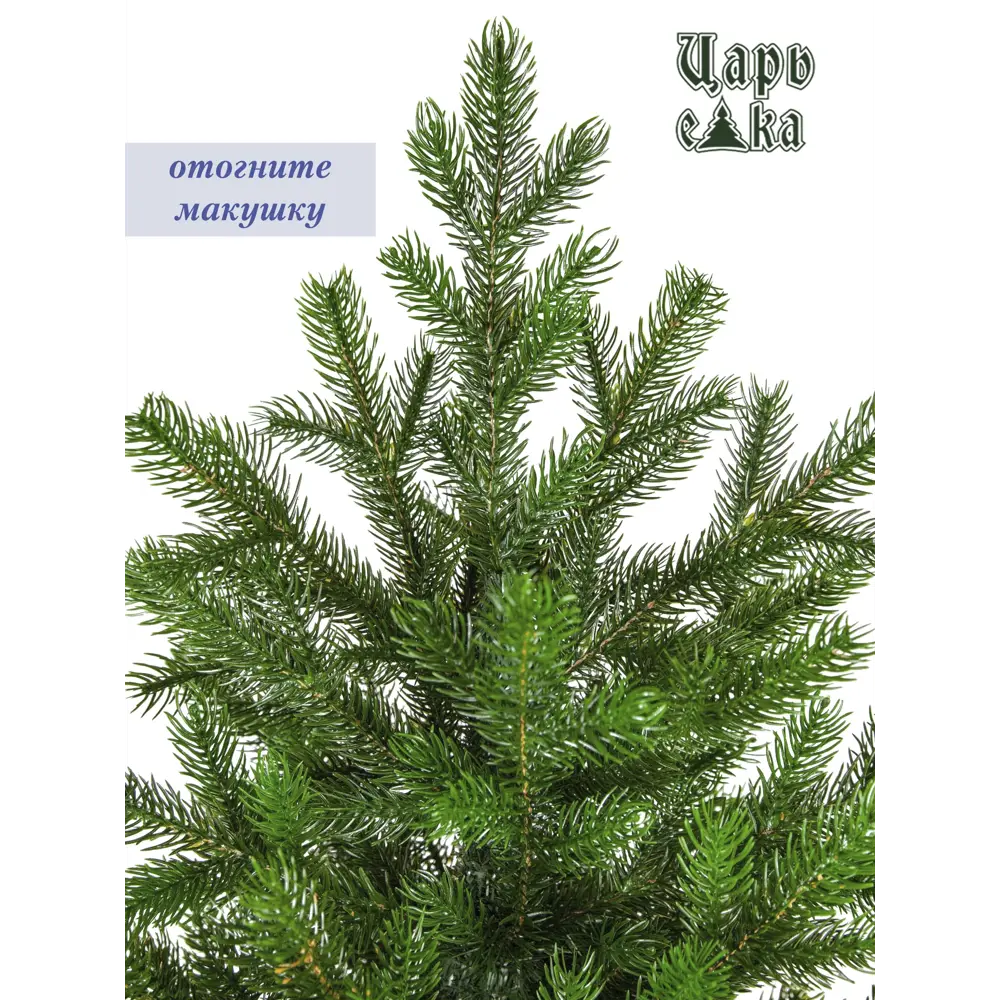 Фото 6 Ель новогодняя искусственная Царь елка АСТР/ПР-180 Астерия 180 см Фото 6 Ель новогодняя искусственная Царь елка АСТР/ПР-180 Астерия 180 см