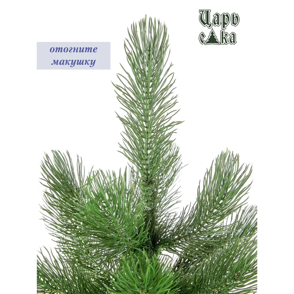 Фото 7 Ель новогодняя искусственная Царь елка Триумфальная 180 см Фото 7 Ель новогодняя искусственная Царь елка Триумфальная 180 см
