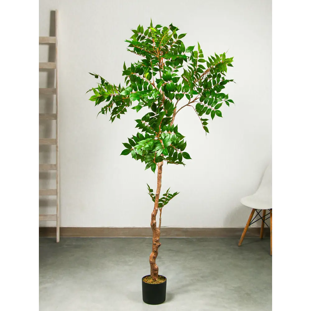 Фото 3 Искусственное дерево Акация в горшке 10526742 180 см