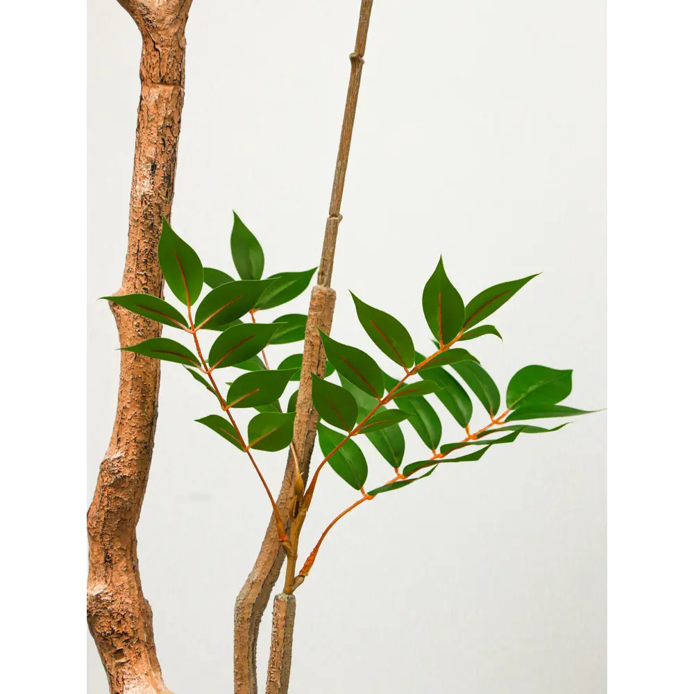 Фото 7 Искусственное дерево Акация в горшке 10526742 180 см