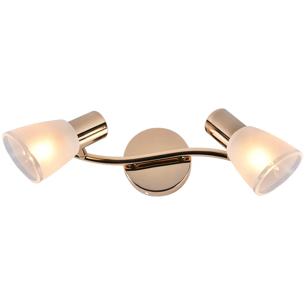 Фото Спот поворотный Reluce 05947-0.8-02 fgd 2 лампы E14 6 м² цвет жёлтый/золотой Фото Спот поворотный Reluce 05947-0.8-02 fgd 2 лампы E14 6 м² цвет жёлтый/золотой