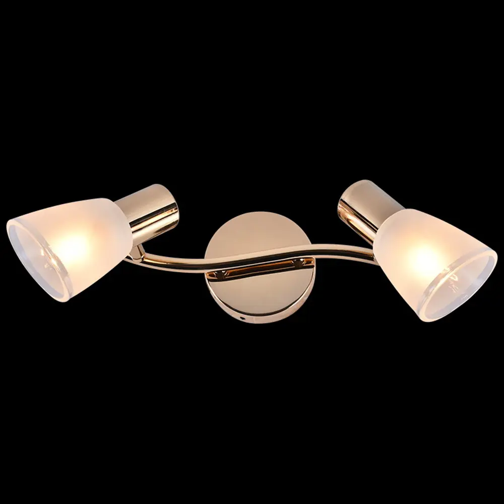 Фото 2 Спот поворотный Reluce 05947-0.8-02 fgd 2 лампы E14 6 м² цвет жёлтый/золотой Фото 2 Спот поворотный Reluce 05947-0.8-02 fgd 2 лампы E14 6 м² цвет жёлтый/золотой