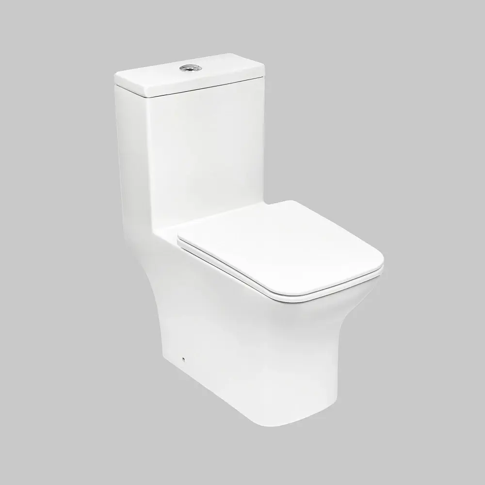 Фото 3 Унитаз-компакт Royce Smart RCT-133004WH безободковый микролифт белый