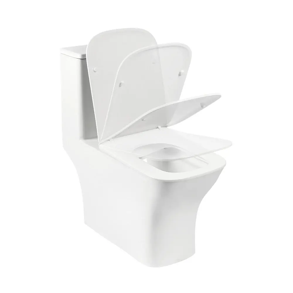 Фото 6 Унитаз-компакт Royce Viva RCT-151406WH безободковый микролифт белый