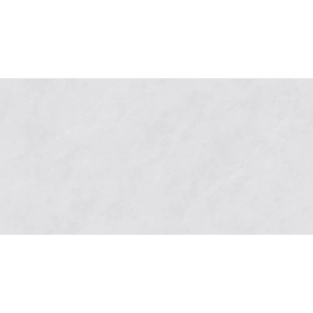 Фото 2 Керамогранит Wan sheng Glazed D12602 120x60см цвет серый