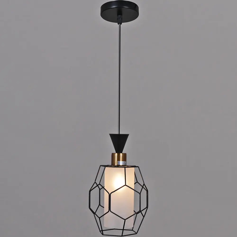 Фото Светильник подвесной Reluce 5641 05641-0.9-01 1 лампа 2 м² цвет белый/черный