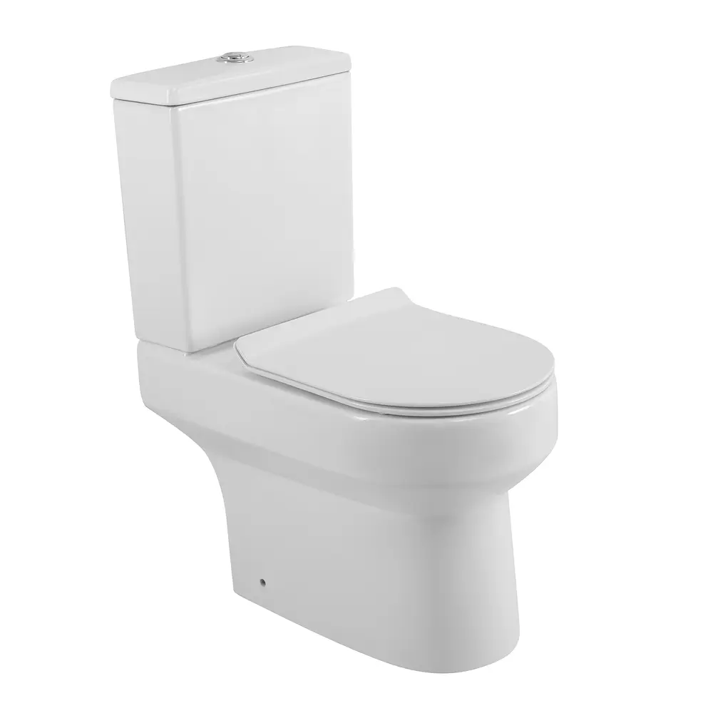 Фото Унитаз-компакт Belbagno NORMA BB339CPR/BB339T/BB076SC безободковый