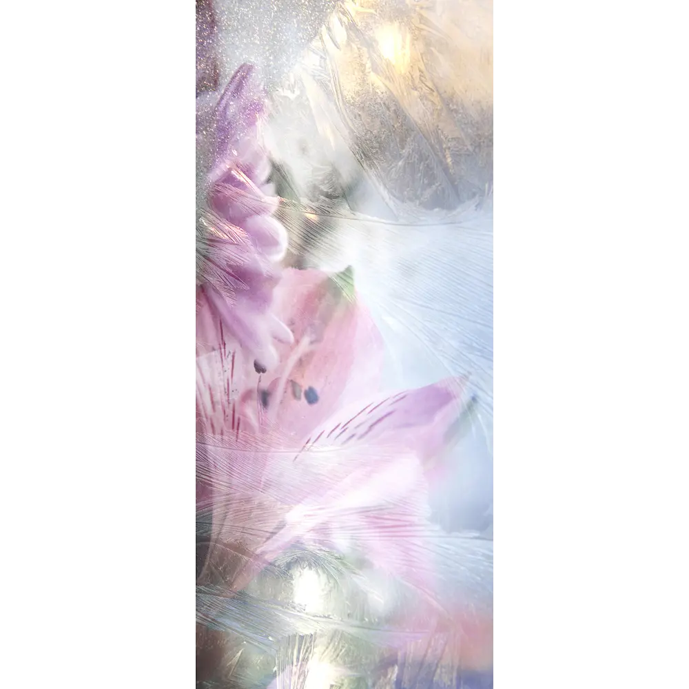 Фото Пленка самоклеящаяся универсальная Wallfix Лилии за стеклом 0.95x2.2 м цвет сиреневый;розовый;голубой Фото Пленка самоклеящаяся универсальная Wallfix Лилии за стеклом 0.95x2.2 м цвет сиреневый;розовый;голубой