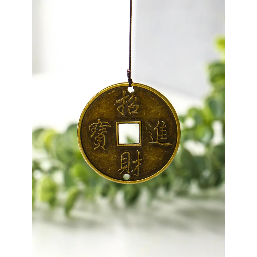 Фото 4 Декоративный предмет Сима-ленд Музыка ветра Монета Фото 4 Декоративный предмет Сима-ленд Музыка ветра Монета