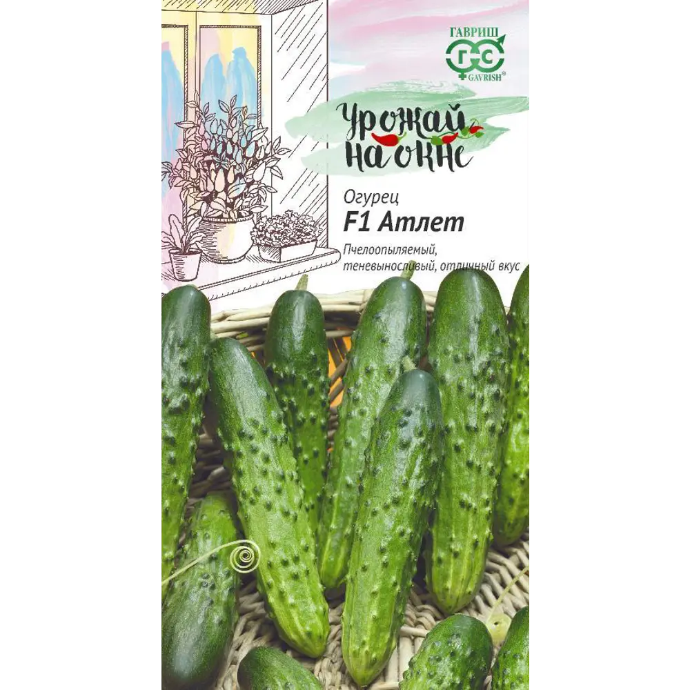 Фото Семена овощей Гавриш Урожай на окне огурец Атлет 10 шт. Фото Семена овощей Гавриш Урожай на окне огурец Атлет 10 шт.