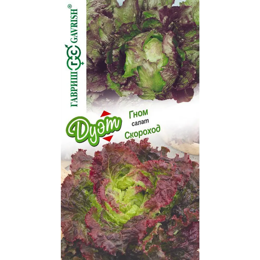 Фото Семена салата Гавриш Скороход и Гном Фото Семена салата Гавриш Скороход и Гном