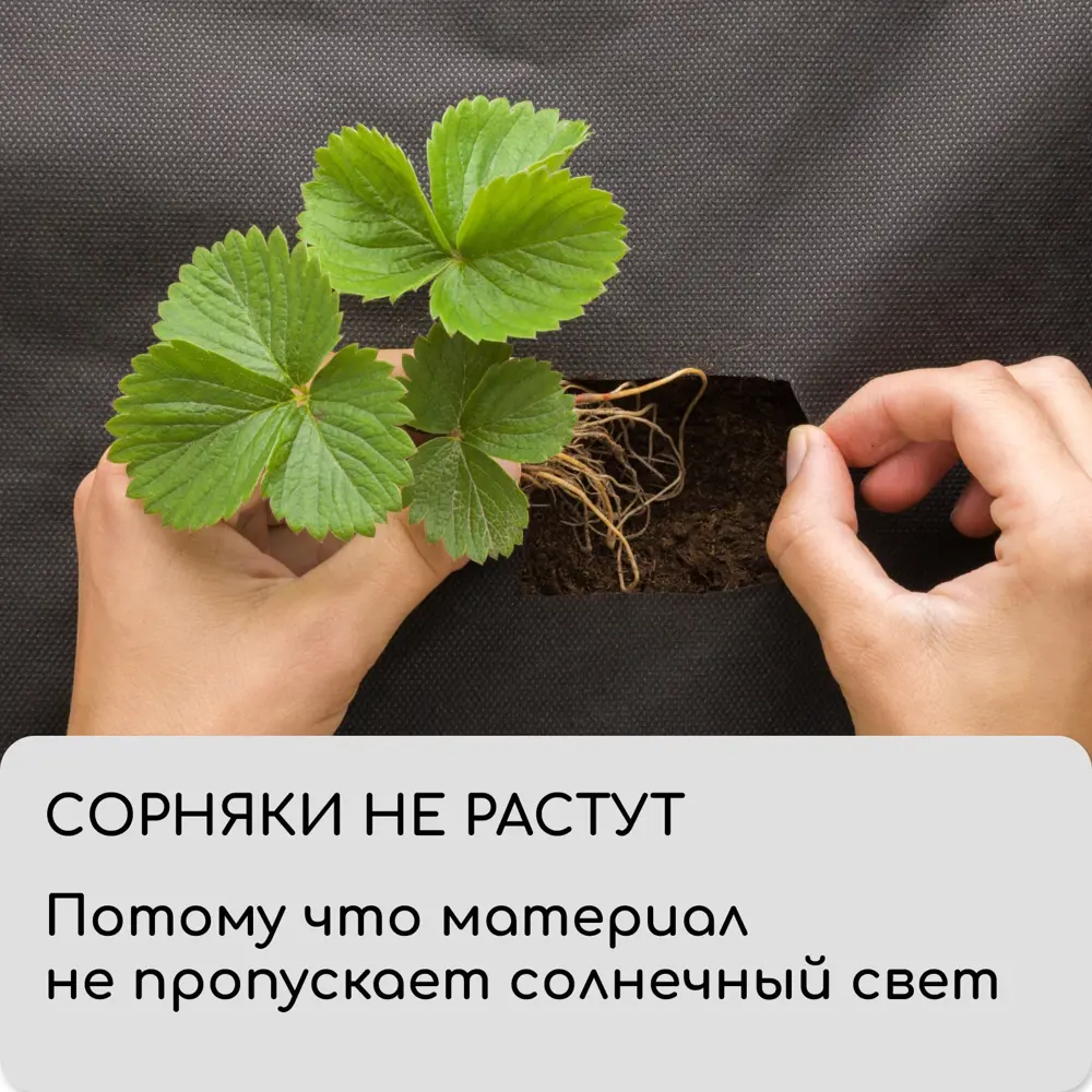 Фото 8 Мульчирующий материал Greengo 1415668 1.6x10 м полипропилен черный