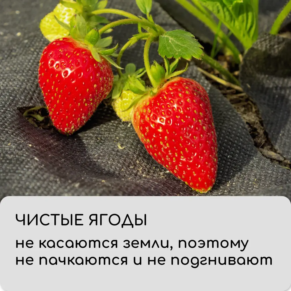 Фото 6 Мульчирующий материал Greengo 1415668 1.6x10 м полипропилен черный