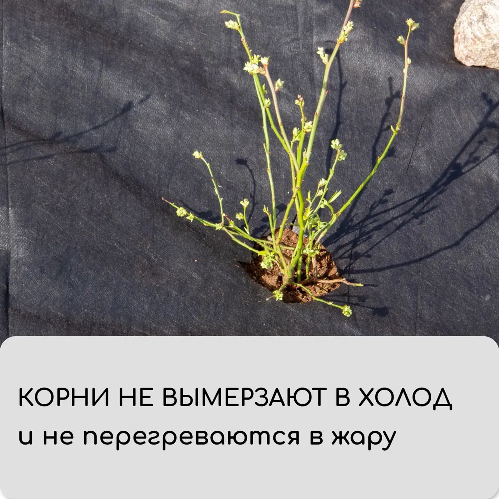 Фото 9 Мульчирующий материал Greengo 1415668 1.6x10 м полипропилен черный