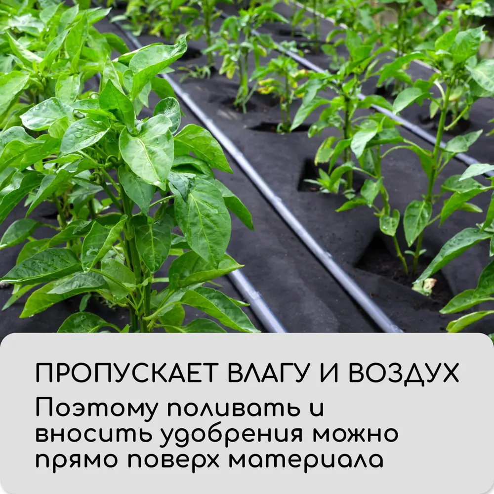 Фото 7 Мульчирующий материал Greengo 1415668 1.6x10 м полипропилен черный